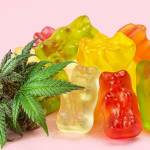David Suzuki CBD Gummies Canada
