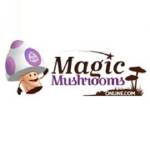 Magic Mushrooms