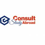 Study Consultants