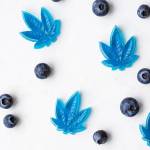 Natures Boost CBD Gummies