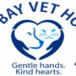 Cometbay Vethospital