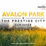 PrestigeAvalon Park