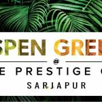 PrestigeAspen Greens
